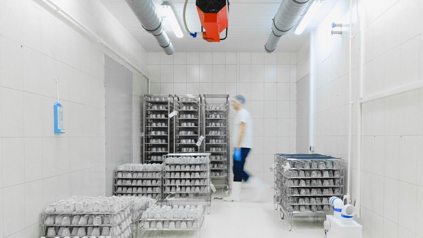 Funcionário em câmara fria com carrinhos de produtos perecíveis